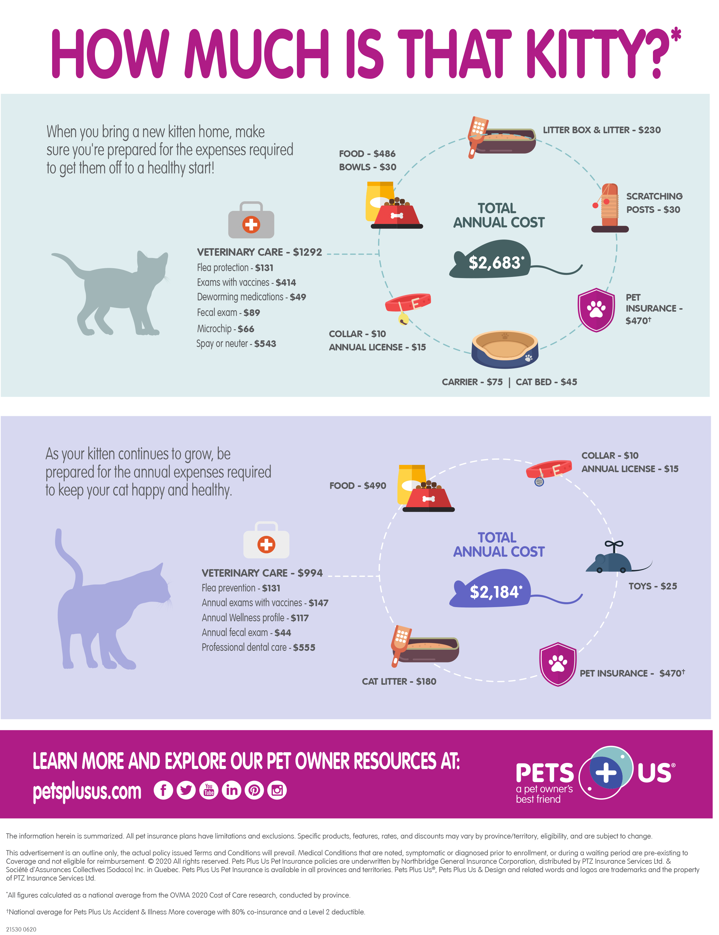 INFOGRAPHIC - How much is that kitty?
