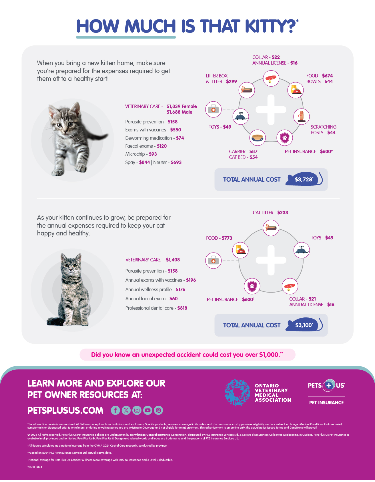 Cat cost of pet care