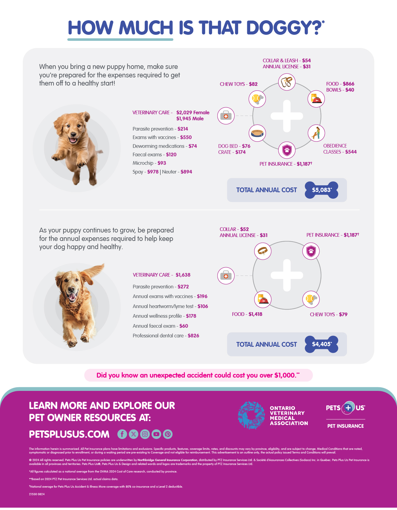 Dog cost of pet care