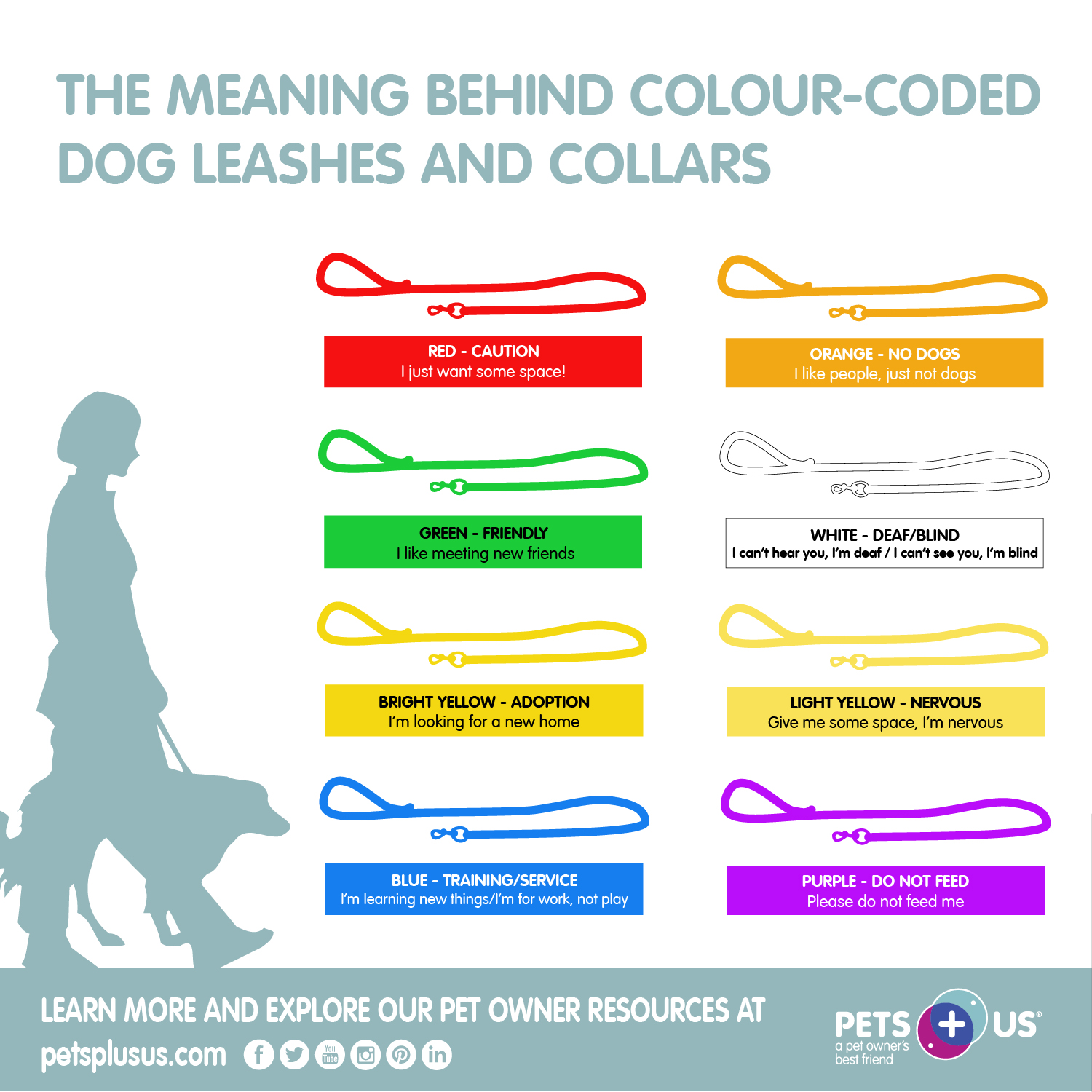 What Do Different Coloured Dog Collars And Leads Mean? - Petiquette Collars