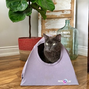 Pet DIY - finished cat tent