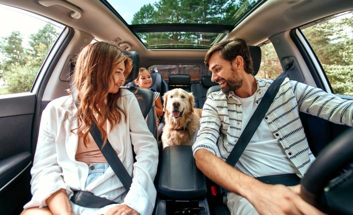 Family with dog in the car