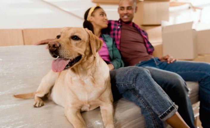 Couple sitting on couch with dog surrounded by moving boxes