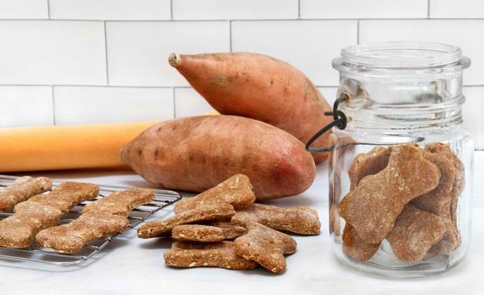 Sweet potato dog treats