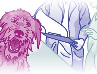 Illustration of Irish Wolfhound at vet